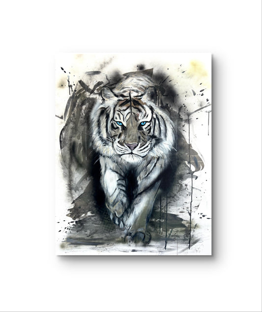 Tiger in Blue